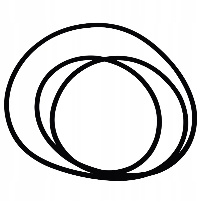 Oring fi 291 69 x 3 53 mm 70815356