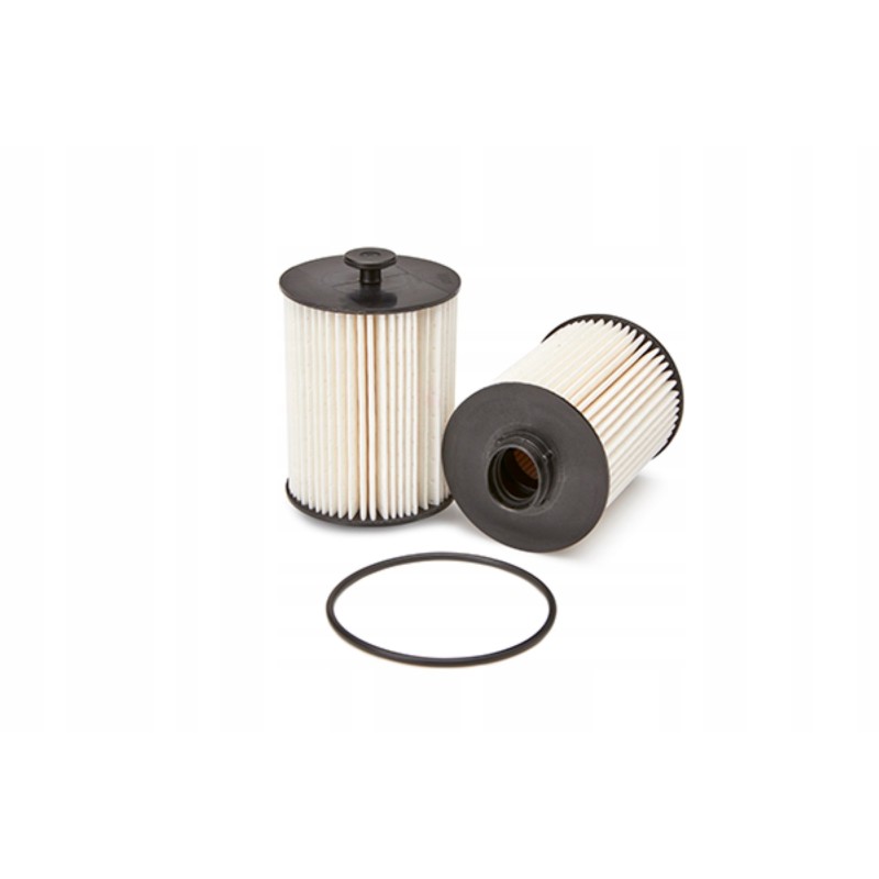 Fleetguard FS19925 fuel filter