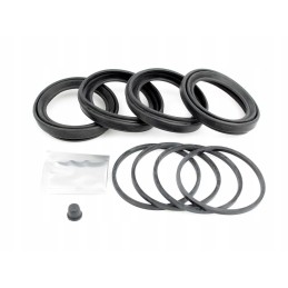 Cylinder seal kit 7701025829