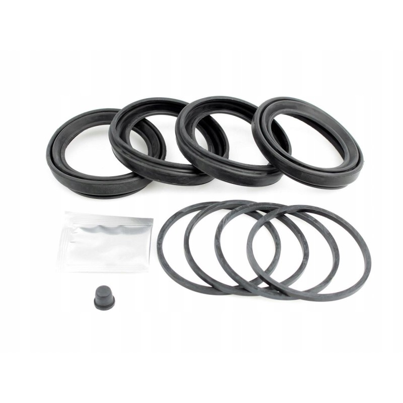 Cylinder seal kit 7701025829