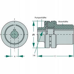 Flexible coupling group 1 cone 1 8 MT engine
