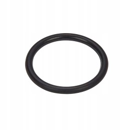 O ring cnh new holland 9992069