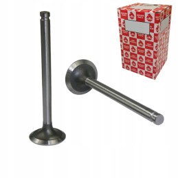 MF3 exhaust valve original Ursus