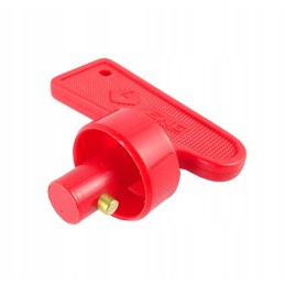 Spare key for the current mass switch, diameter 10 mm