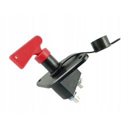 Spare key for the current mass switch, diameter 10 mm