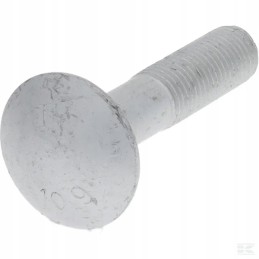 Round flat screw M16x75 10 9 Lemken 3012279