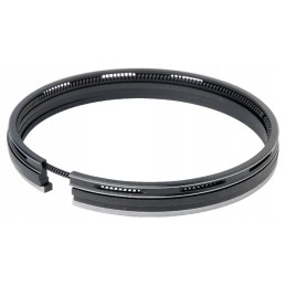 Piston rings set of 4 rings fits