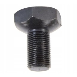 Clutch screw 80021092 domestic product