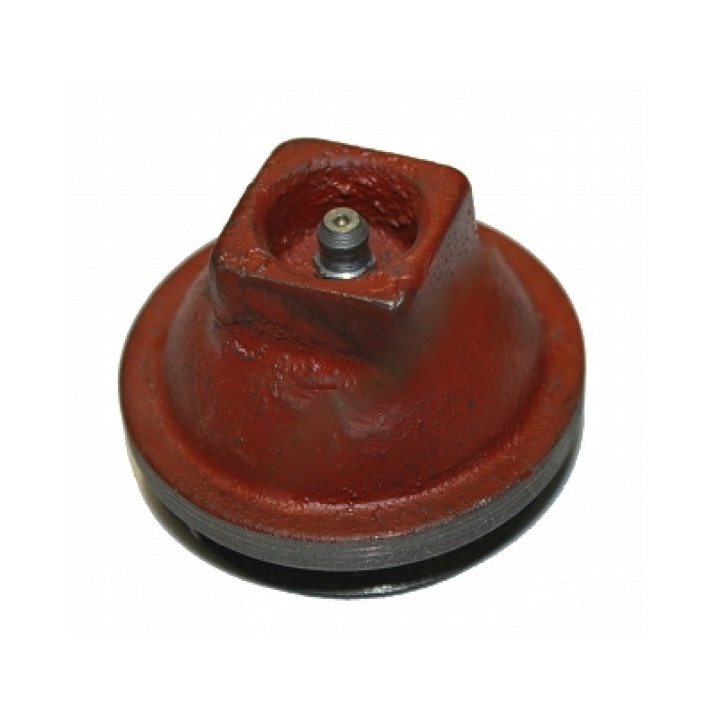 Hub cover 893979m1