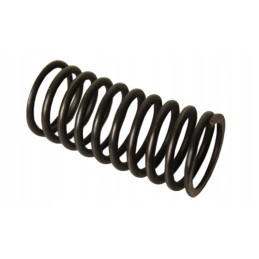 Internal valve spring c 330 50001340