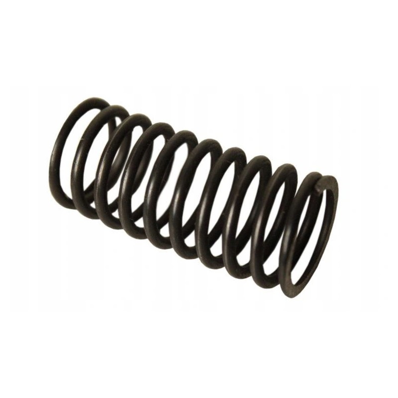 External valve spring c 330 50001091