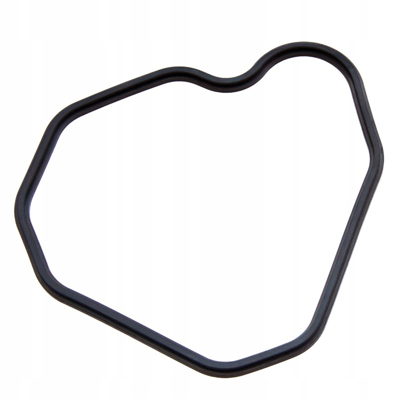 Head cover gasket for Zetor C 360 55010527