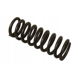 Latch spring new type t 25 5437221