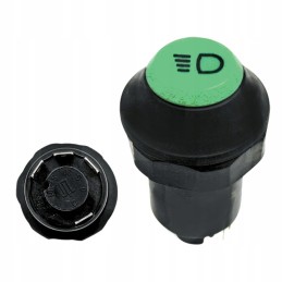 Renault light switch