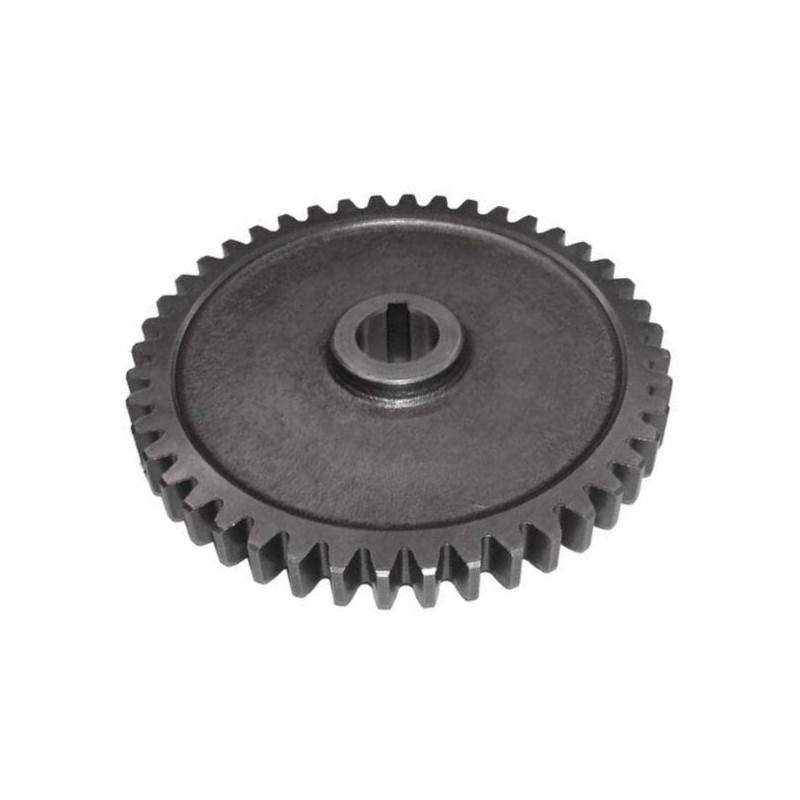 Drive wheel of the Wladimirec T 25 T25 pump