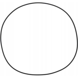 O-ring seal ci028575