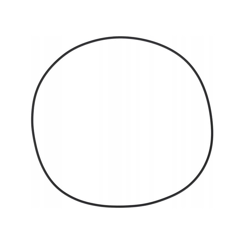 O-ring seal ci028575