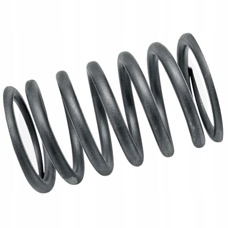 Outer engine valve spring c 330 50001091