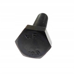 Screw M10x1 25x40
