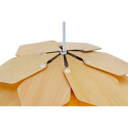 Head oil screw 0095350