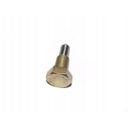 Axle pin securing bolt