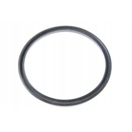 385 servo seal ring