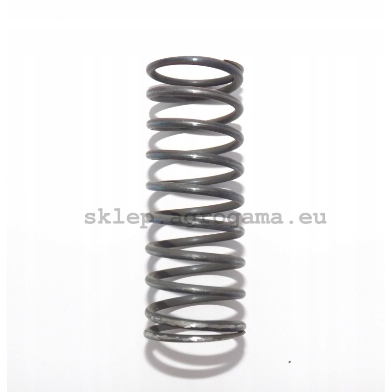 Internal valve spring ursus c360 50505070