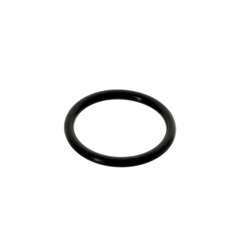 Filter o-ring 20 3x2 4 54510319 ursus