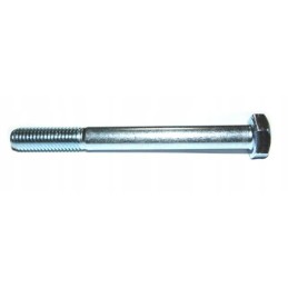 Screw M10x100, galvanized