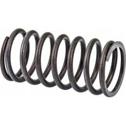 Outer head valve spring c 360 269000505