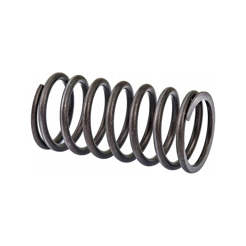 Outer head valve spring c 360 269000505