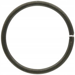 Spring ring for the input of the PTO shaft