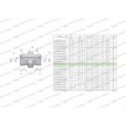 Hydraulic reducing connector 1 4x3 4 bsp 2 pcs