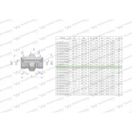 Hydraulic reducing connector 1 4x3 4 bsp 2 pcs