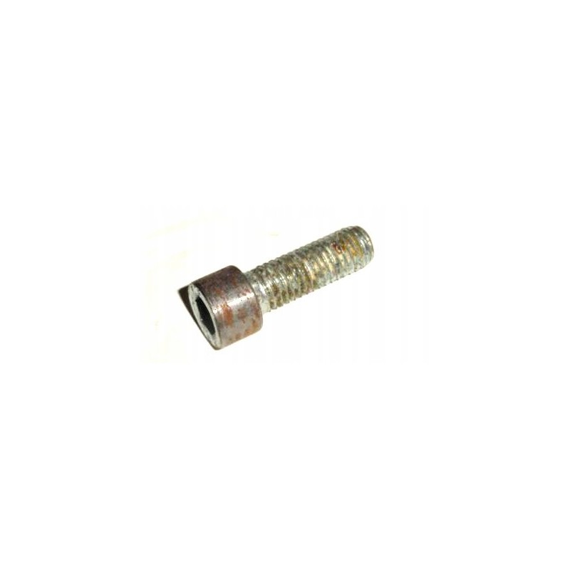 Special press screw
