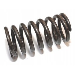 Mtz external pressure spring, new type