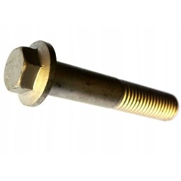 Screw M18x95