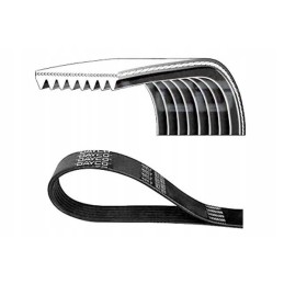 Multi V-belt 8pk1440 volvo fm 10 d10a320 d