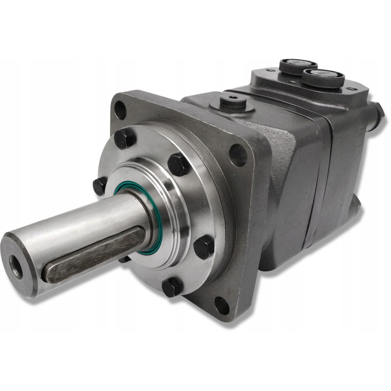 BM6 200 cm3 gr4 hydraulic motor