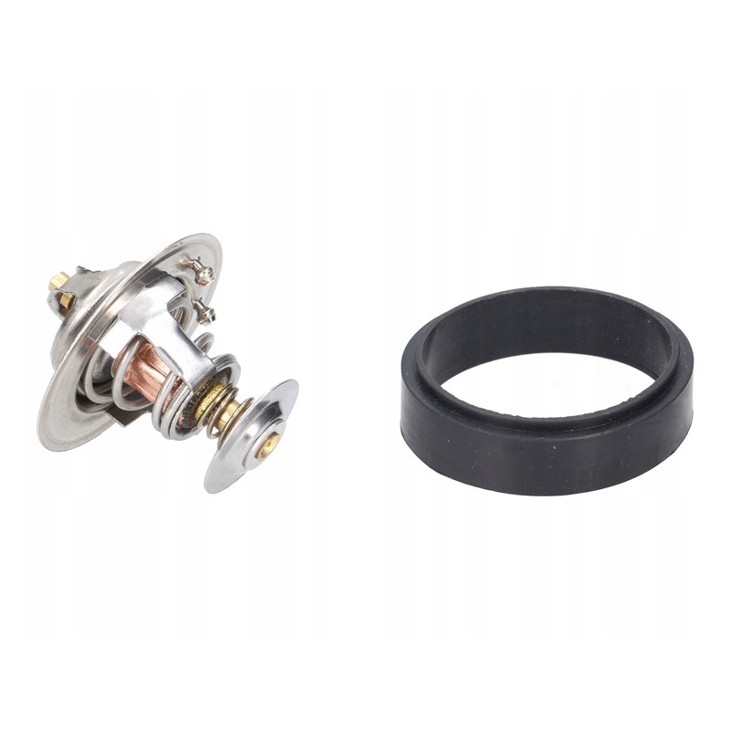 Thermostat case 74702039 76 degrees