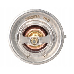 Thermostat case 74702039 76 degrees