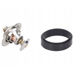 Thermostat case 74702039 76 degrees