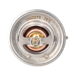Thermostat case 74702039 76 degrees