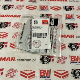 Hatz 01429100 set of muffler gaskets 1d81 1d90