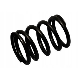 Valve spring Fiat 4812347