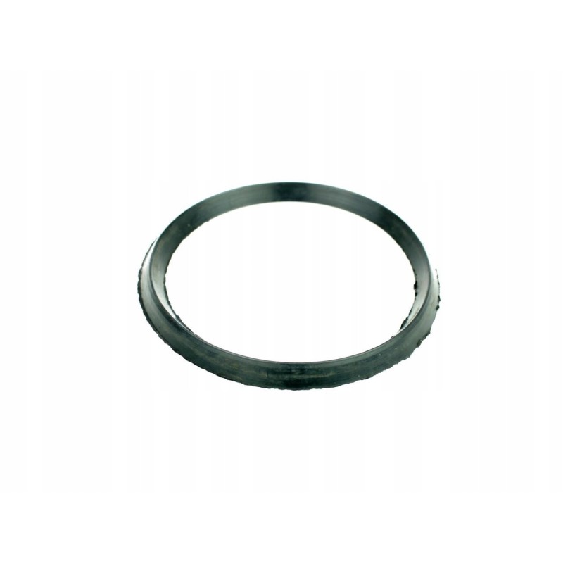 Pump wedge ring 0200025