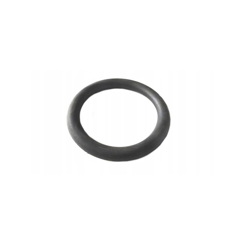 Seal for hose end m 108 4050200248