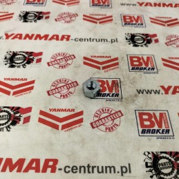 Hatz 1d41 1d81 injection pump nut 04244300