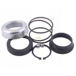 Fork repair kit with Warynski ring