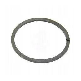 Pierscien renalut claas 0011026190